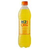 imagem de Água H2OH LARANCCINI 500ML